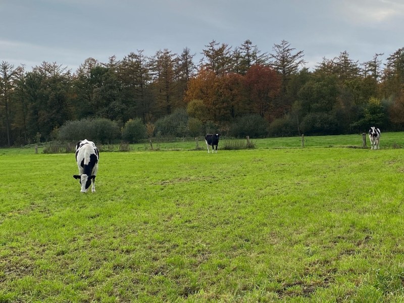 Samen zorgen we voor droge voeten en een goed werkend riool