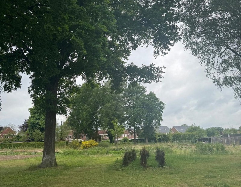 Nieuw parkje in Overdinkel dankzij bewonersinitiatief