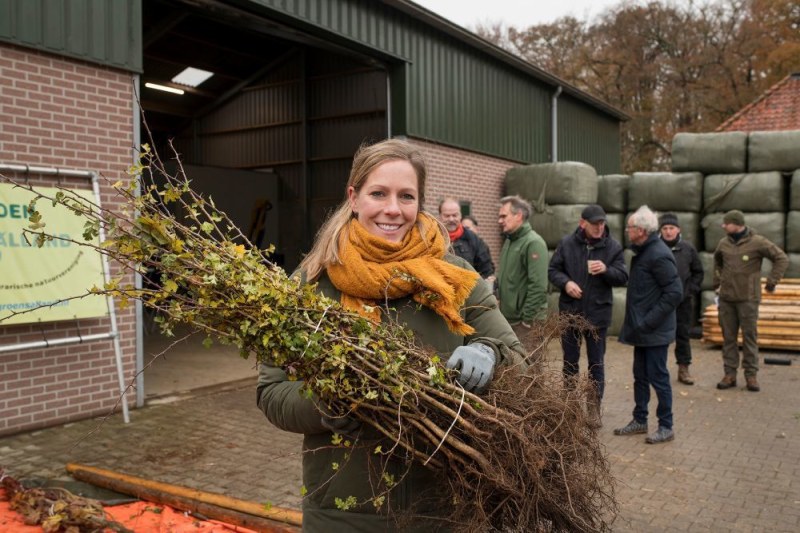 Boomdeeldagen voor inwoners van Losser