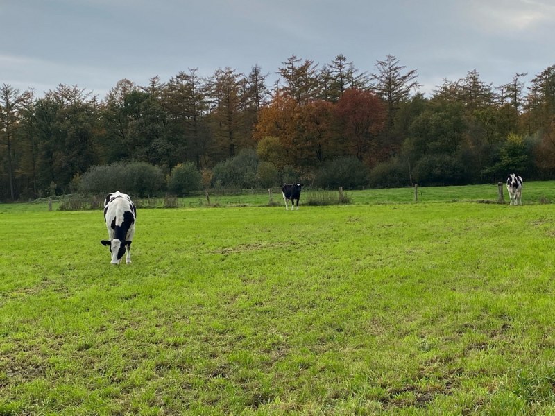 Enquête Veilig Buitengebied