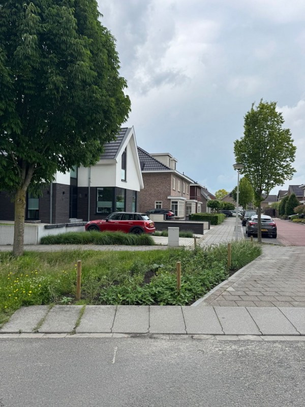 Tegelwippen: al heel wat gewipt